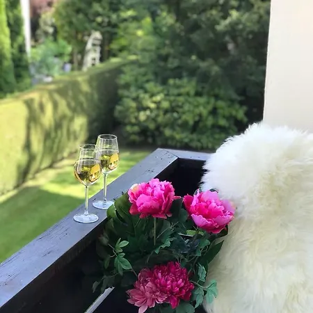 Appartement Golden Gapa Central Family 23 *